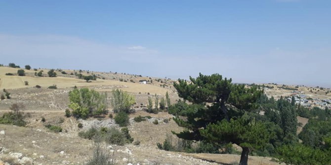 Ilgın Barakmuslu Köyü