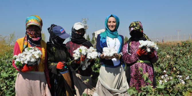 Gap Gıdada Üretim Üssü Olacak