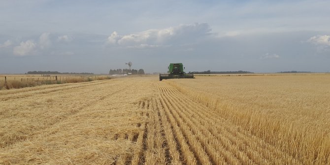 Tarım Ve Orman Bakanlığı’ndan 52 Milyon Lira Hibe Desteği