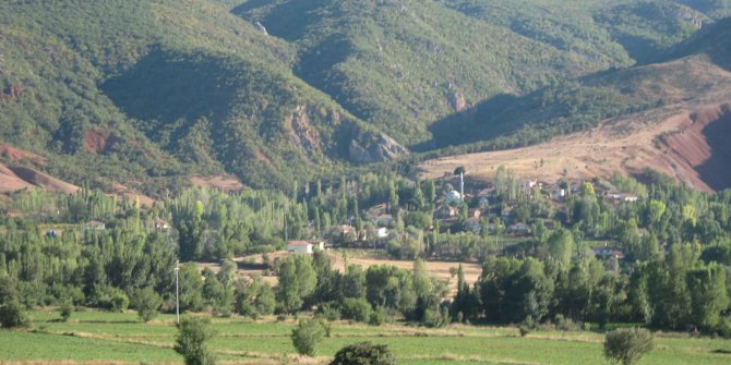 Zile Karakuzu Köyü