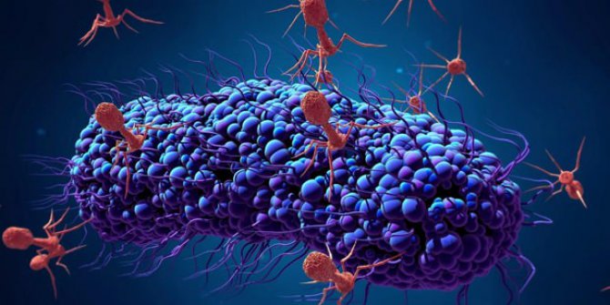 Korona (corona) virüsü nedir, belirtileri neler? Korona virüsü hangi ülkelerde var?