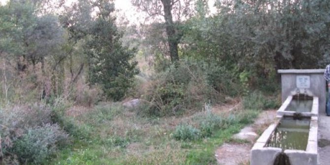 Zile Kazıklı Köyü