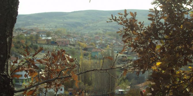 Zile Kervansaray Köyü