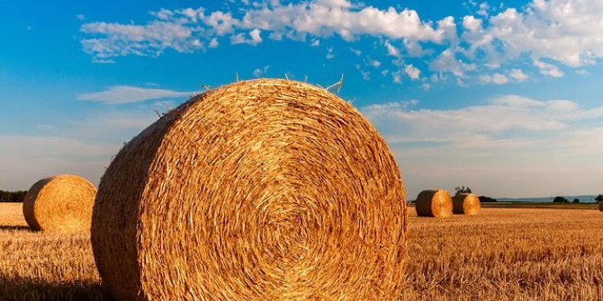 Bu Yıl Sözleşmeli Üretim Modeline Geçilecek