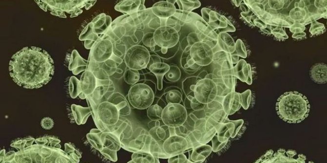 Lassa Ateşi Salgını Nedir? Corono Virüsünden Sonra Ortaya Çıkan Lassa Ateşi Nedir?