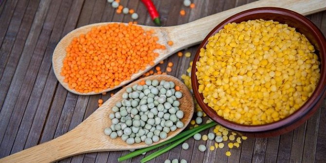 25 Yıl Aradan Sonra Bakliyat Ürünlerine Alım Garantisi