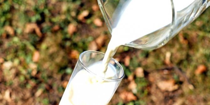 Ezberlerimizi Bozacak Bir İddia: Süt Zararlı Mı?