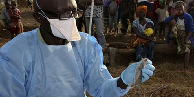 Hastalık X nedir? Hastalık X nasıl bulaşır belirtileri nelerdir?