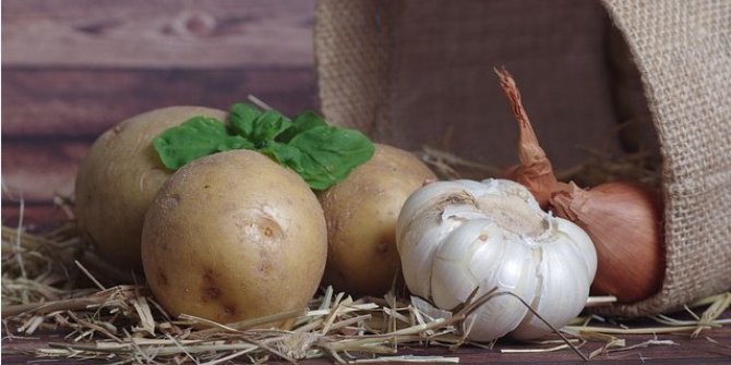 Patates Artış Şampiyonu Oldu