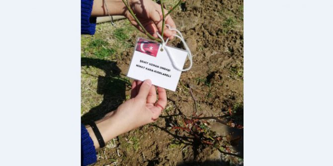 Her Şehidimiz İçin Gül Fidanı Diktiler