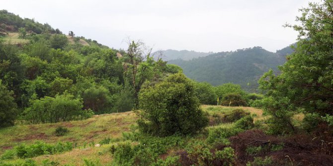 Akçakale Akçalı Köyü