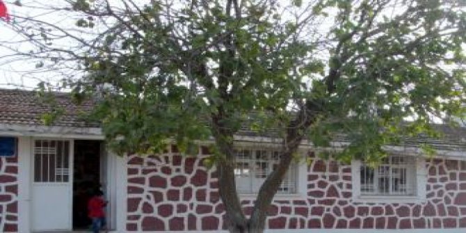 Akçakale Aşağıbeğdeş Köyü