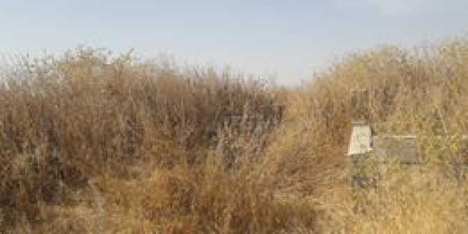 Akçakale Bolatlar Köyü