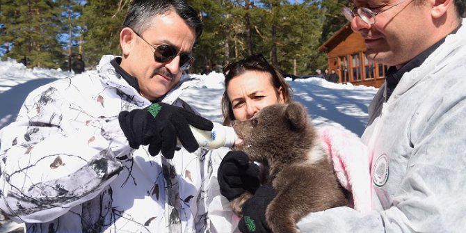 Anne Ayı Ve Yavrularının Kar Keyfi