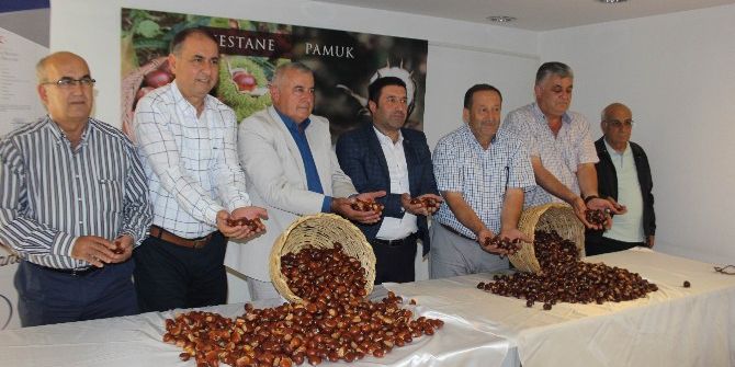 Aydın’da Sezonun İlk Kestanesi Borsa’ya Teslim Edildi