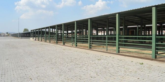 Tavşanlı Hayvan Pazarı Geçici Olarak Kapatıldı