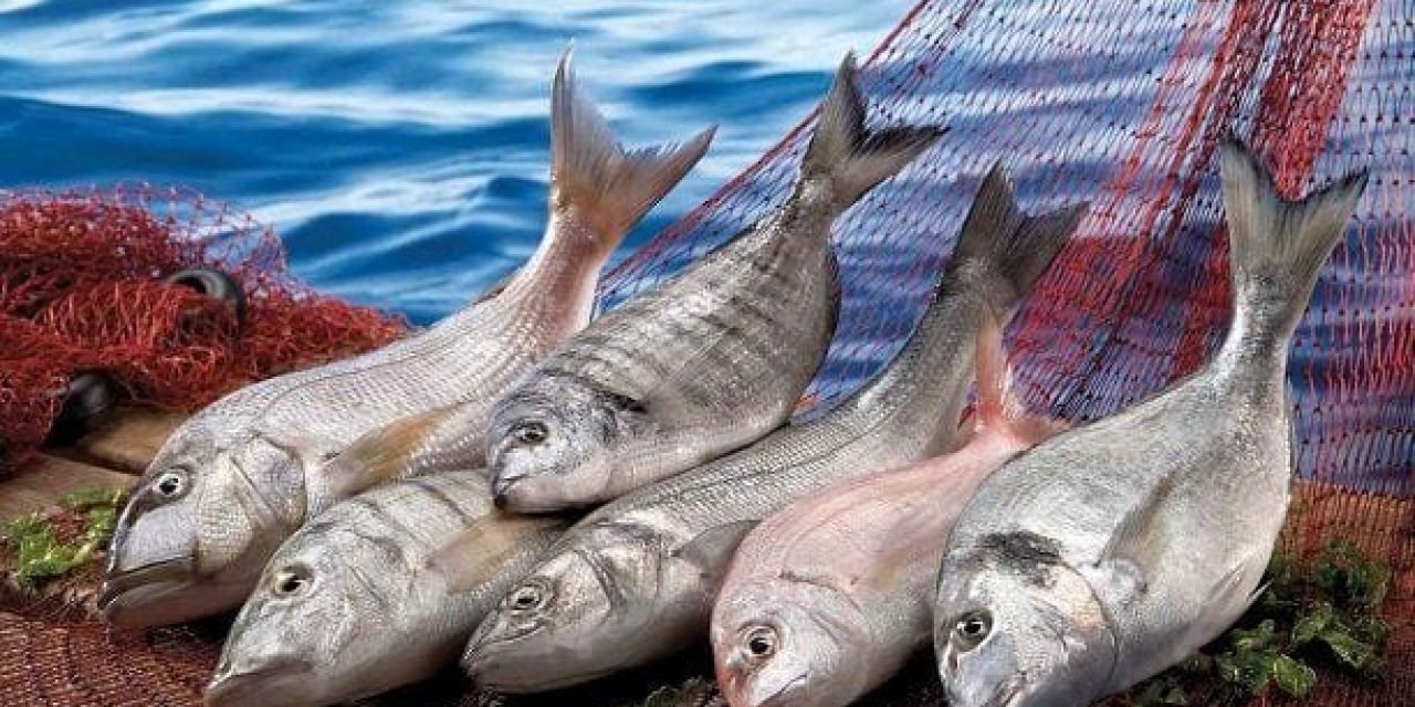 Kovid-19'a karşı ikinci balık tüketim kampanyası yarın başlıyor