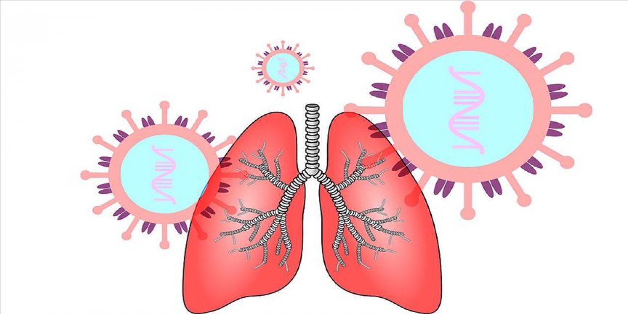 “Covid-19’a Bağlı Ölümlerin Yüksekliğinden Endişe Duyuyoruz”