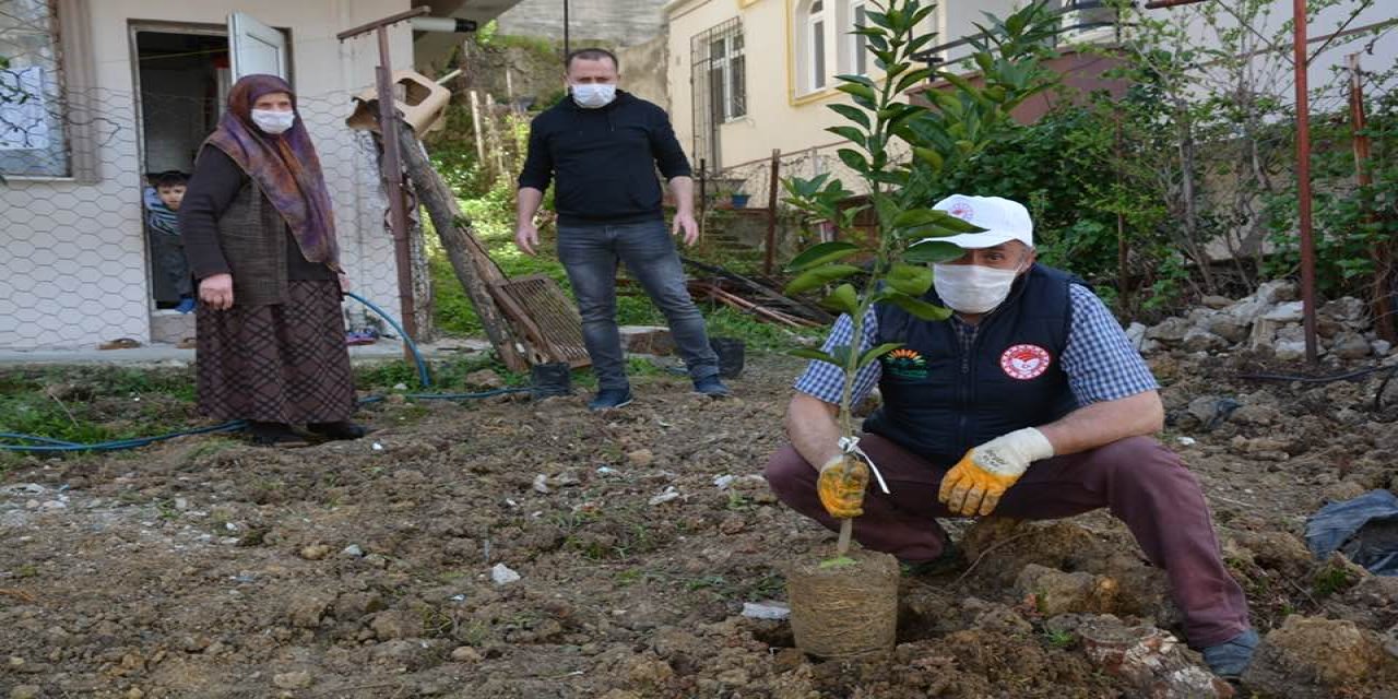 Enise Teyze İçin Fidan Seferberliği