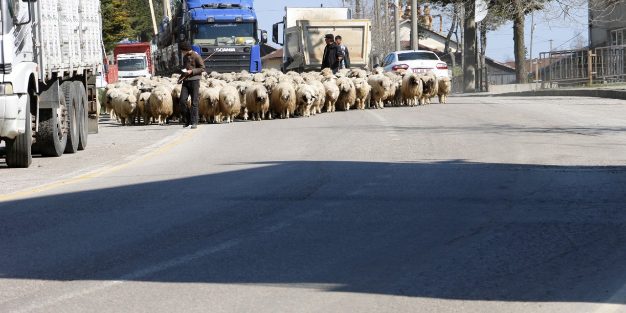 Yaylalara Göç Yolculuğu Başladı