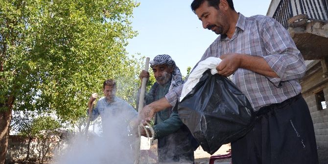 Bulamaç Sezonu Başladı