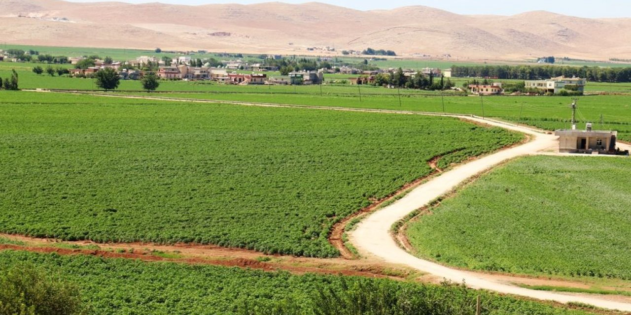 Akçakale Yukarıbeydeş Köyü