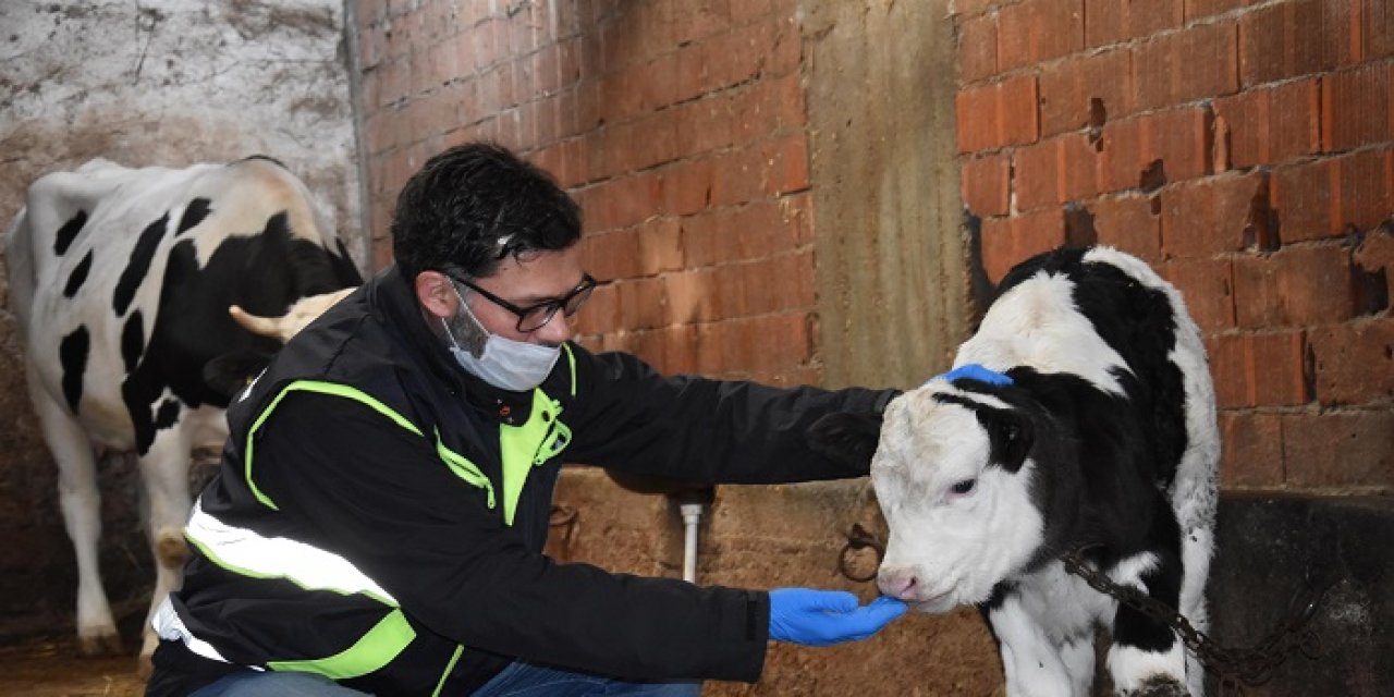 Büyükşehir’den Küçük İşletmecilere Probiyotik Yardımı