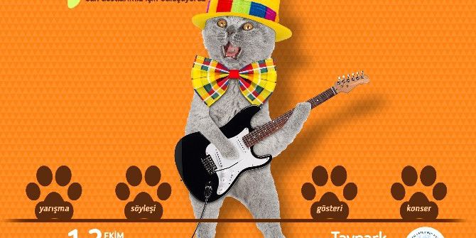 Sevimli Patiler Podyuma Çıkıyor