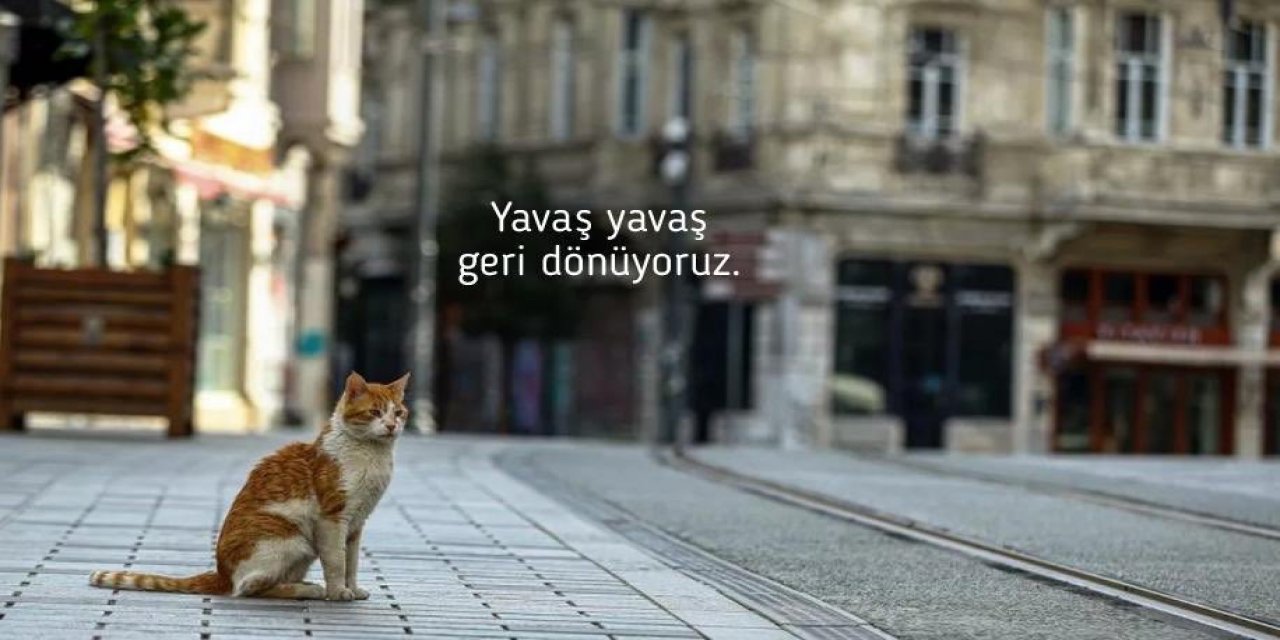 Koronavirüs kısıtlaması kaldırılacak mı? Bakan Koca'dan açıklama