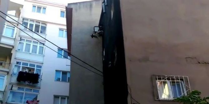 Çatıdan Atlayan Köpekten Sevindirici Haber