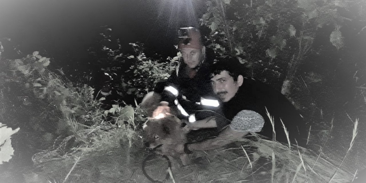 Çukura Düşen Köpek Kurtarıldı