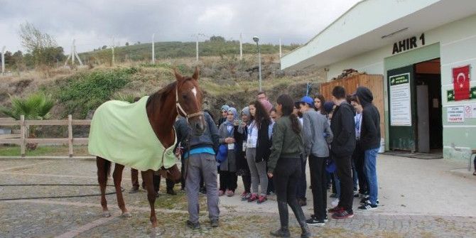 Lise Öğrencileri Meslekleri Tanıyor