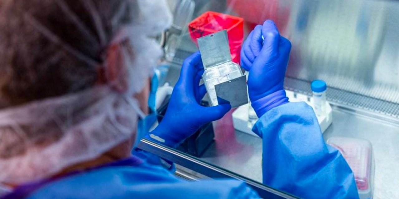 Antikor testleri 81 ilde pazartesi başlıyor