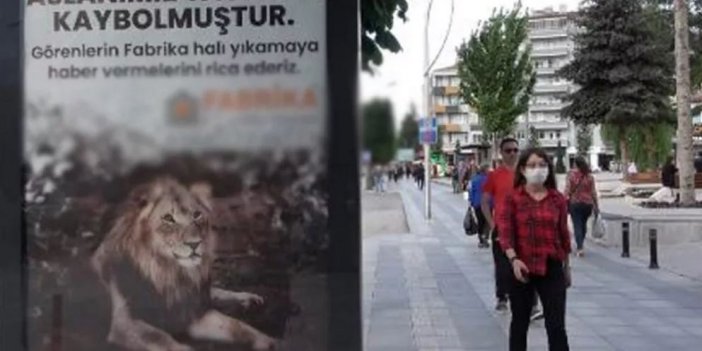 Bu ilan Çorum'u karıştırdı: Aslanımız Tacettin kaybolmuştur