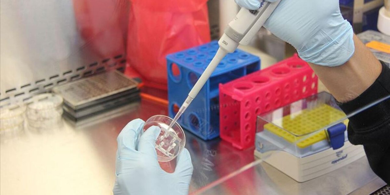 PCR testi ücreti belli oldu!