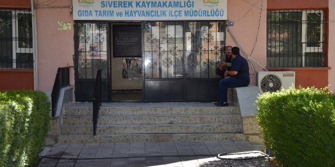 Siverek’te Kuduz Şüphesi Nedeniyle Mahalle Karantinaya Alındı