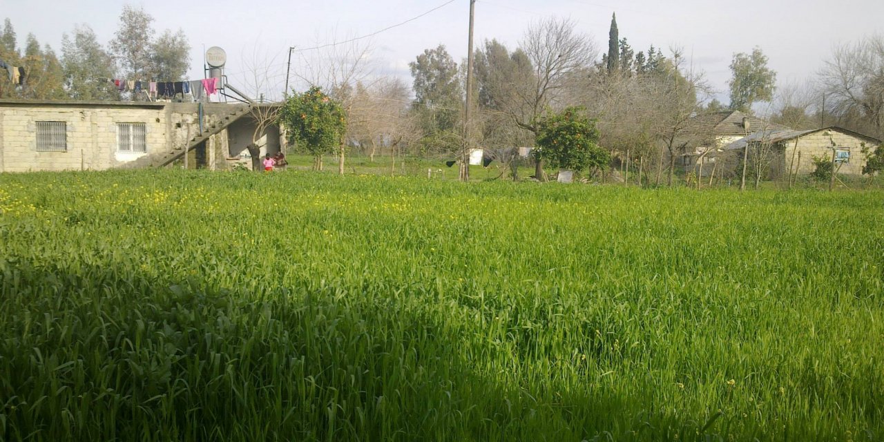 Adana Ceyhan Akdam Köyü