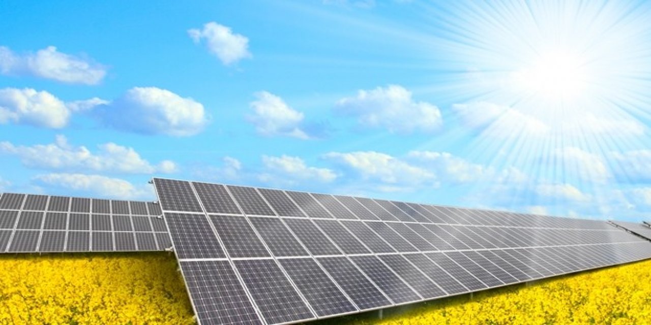 Yaz Sıcakları Beyni Olumsuz Etkiliyor