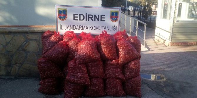 Edirne’de 40 Bin Tl’lik Kum Midyesi Ele Geçirildi