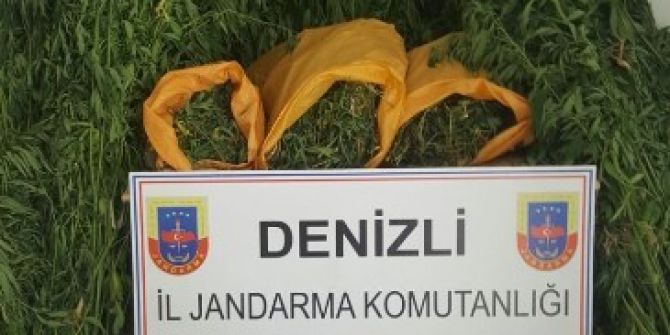 Denizli’de Uyuşturucu Operasyonu: 16 Gözaltı