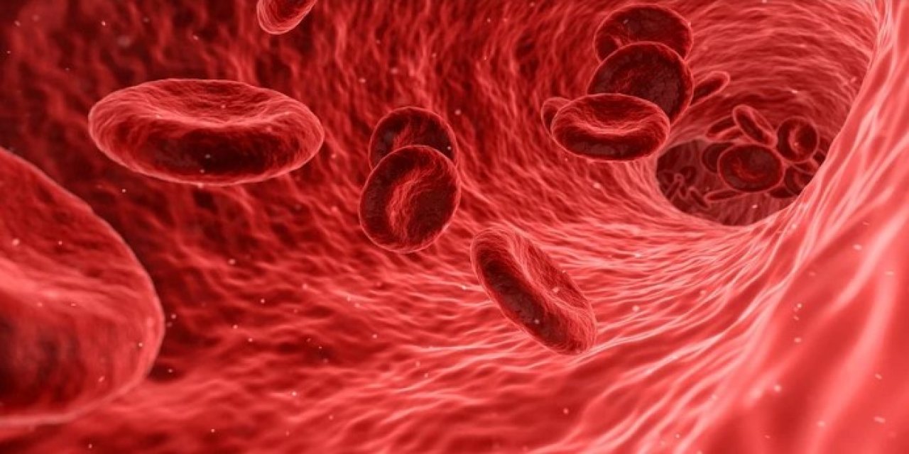 Anemi Hastalığına Dikkat