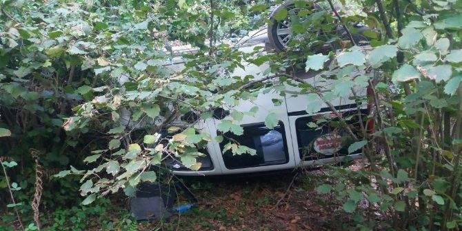 Kamyonet Fındık Tarlasına Uçtu: 1 Yaralı