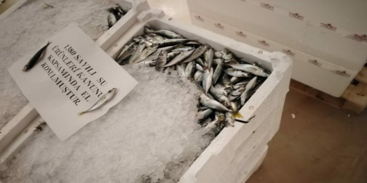 İstanbul’da Kaçak Balık Avcılığı Denetimi