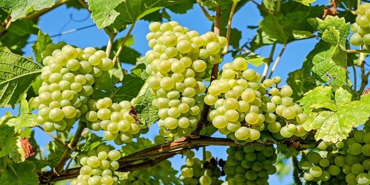 Gıda İsrafına Dur Diyelim!