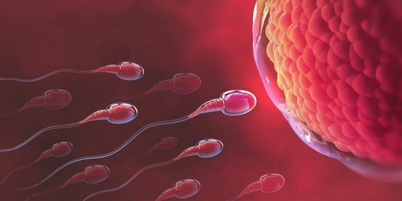 Sperm Sayısını Artıran 8 Önemli Besin