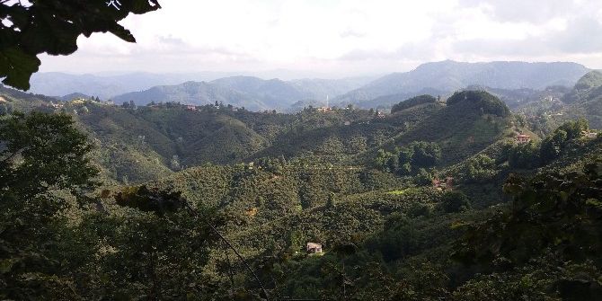 Fındıkta Destekleme Müracaatları 31 Aralık’ta Sona Eriyor