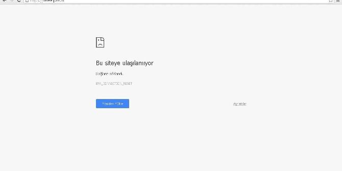 Türk Hackerlar, Hollanda Partisini Hedef Aldı