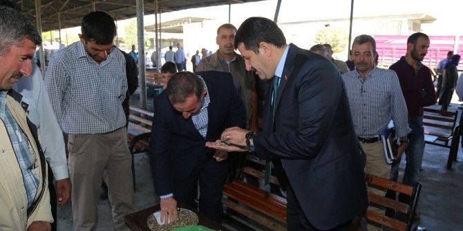 Ekinci’den Buğday Pazarı Esnafına Müjde