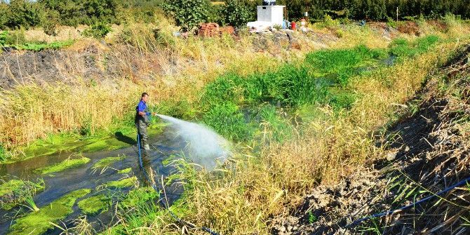 Çınarlı Dere İlaçlama Çalışmaları Devam Ediyor