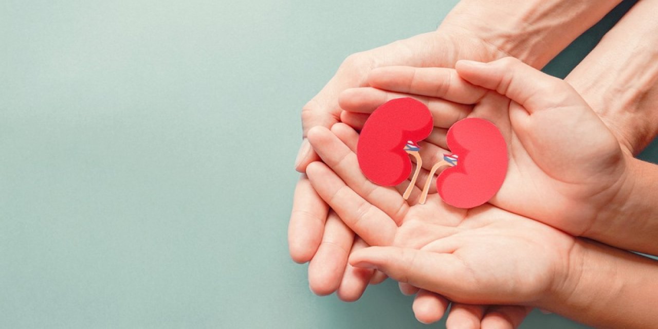 Organ Nakli Bekleyenler Virüs Korkusuyla Nakilden Kaçıyor